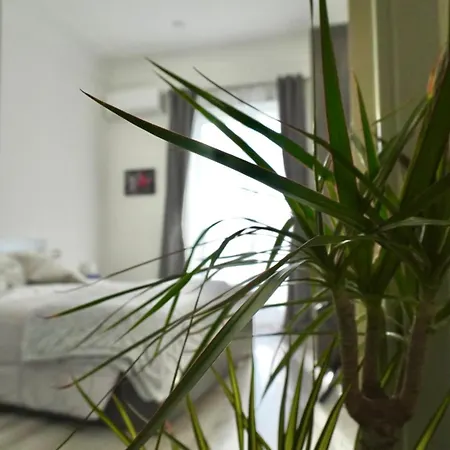 Bed and breakfast Il Rio